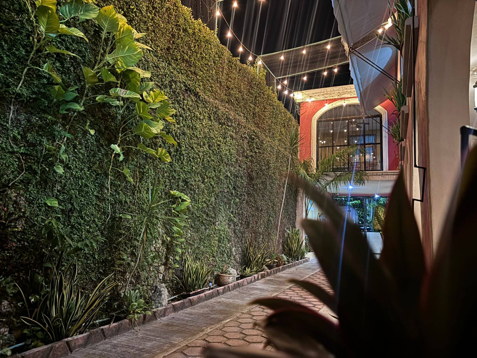 WhatsApp Image 2025-05-06 at 3.32.06 PM