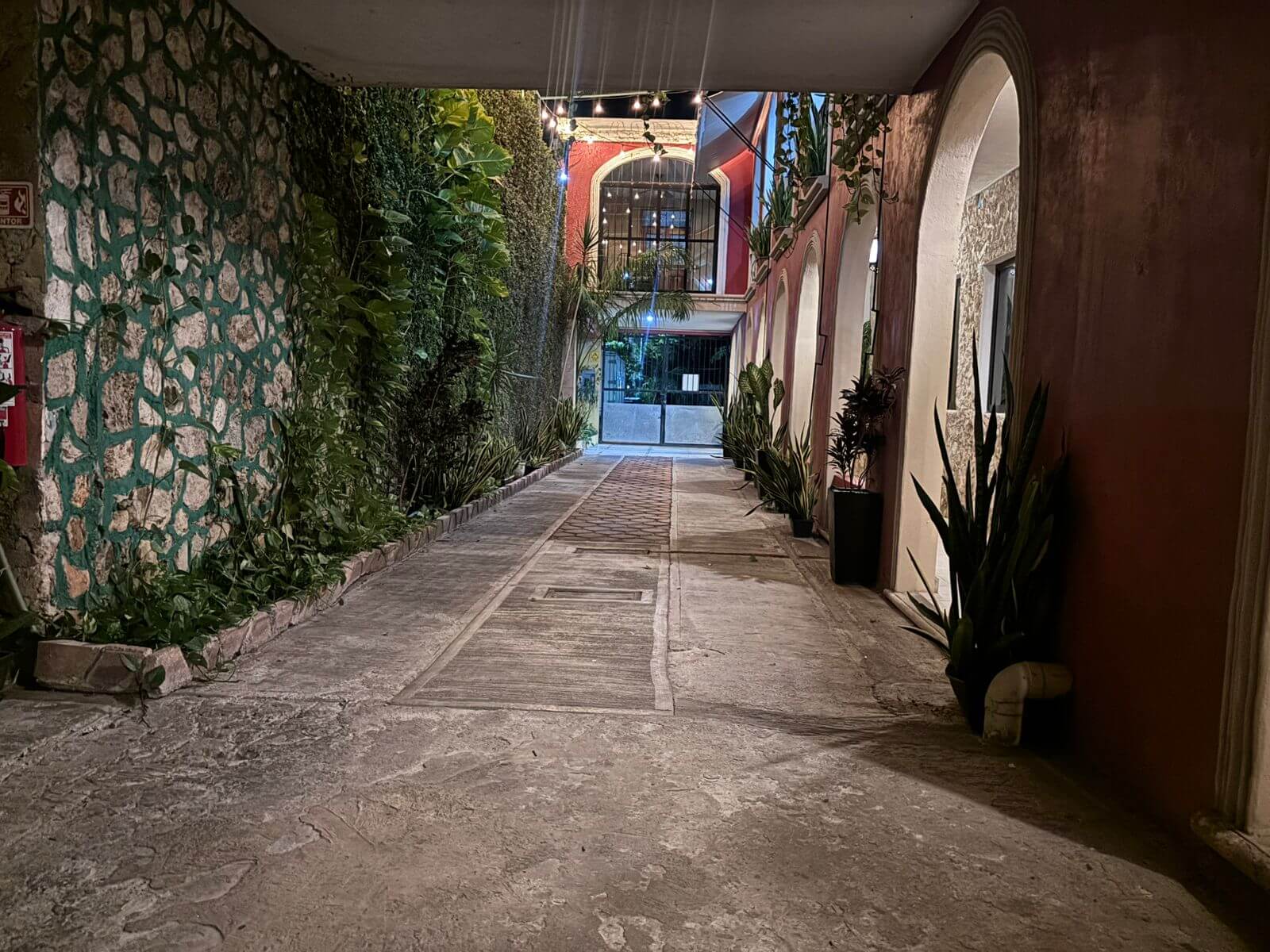 WhatsApp Image 2025-05-06 at 3.32.08 PM